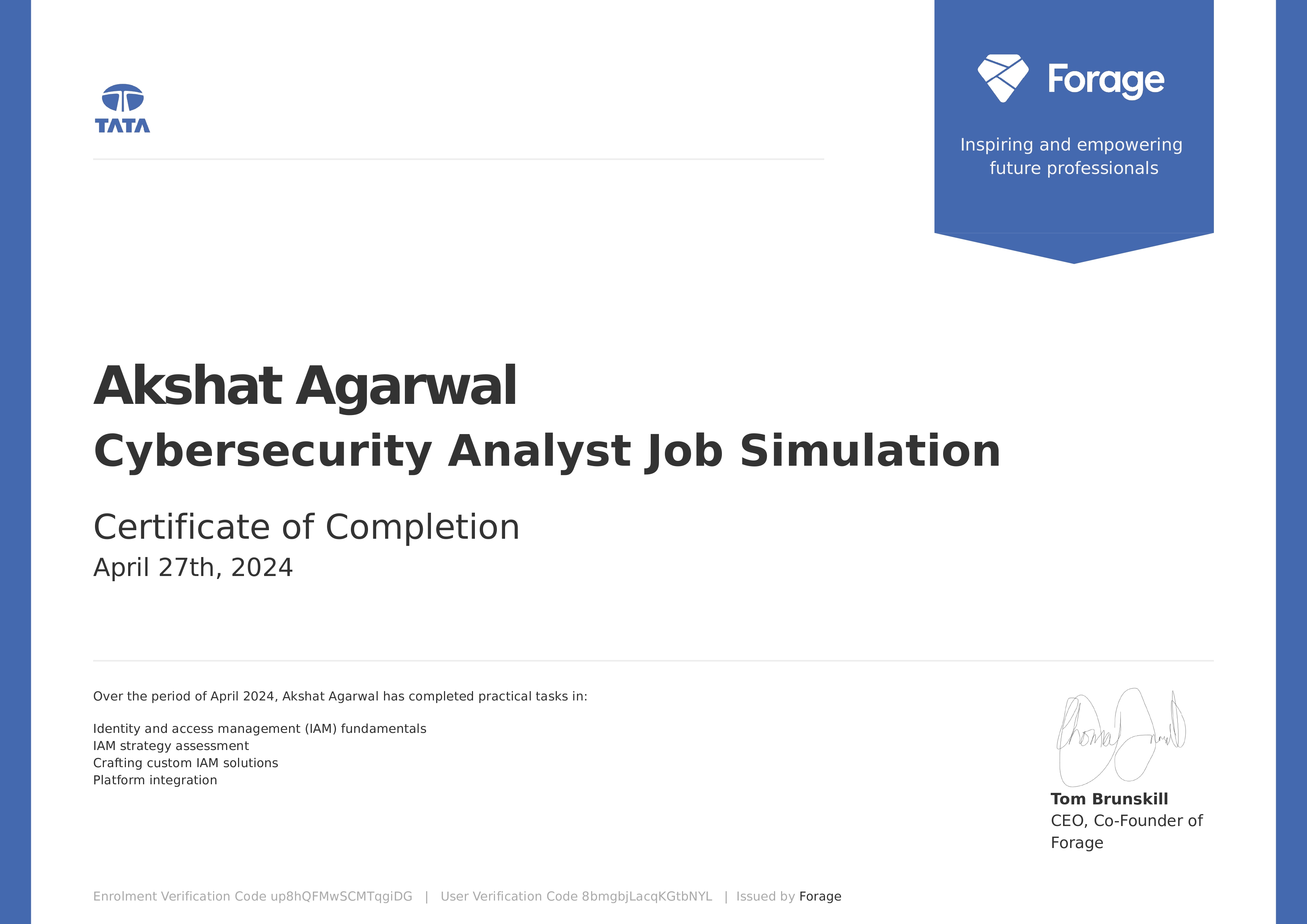 Cyber Analyst